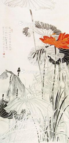 莫晓松 荷花