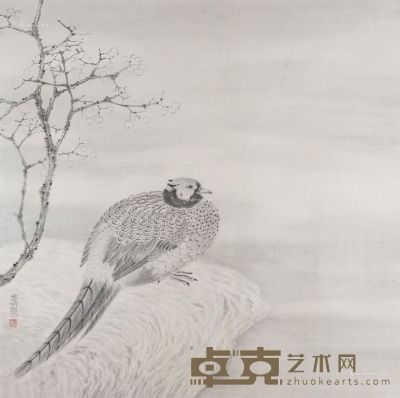 杨立奇 锦鸡图 68×68cm