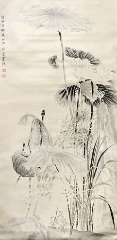 莫晓松 荷花