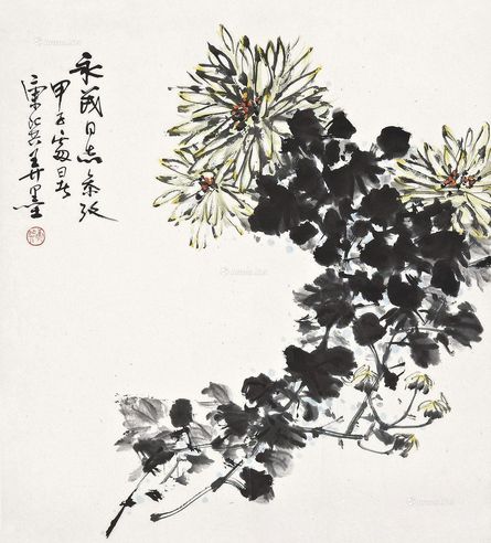 康师尧 秋菊傲霜