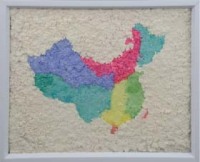 纸浆画 中国地图