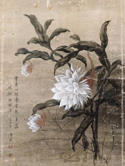 蔡涛仪 花卉 75.5×57.5cm