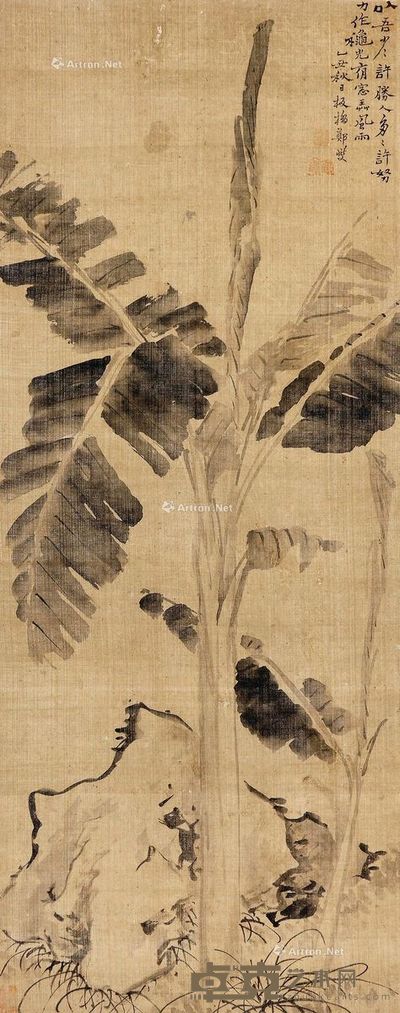 郑板桥 芭蕉石头 117×47cm