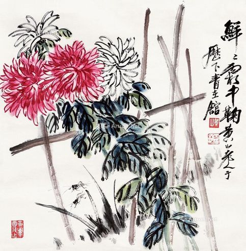 王天池 鲜鲜霜中菊