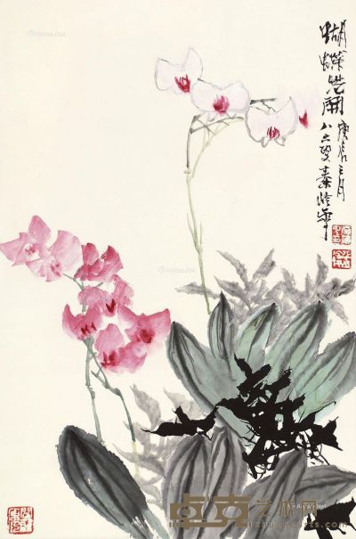 秦岭云 蝴蝶花卉 69×46cm