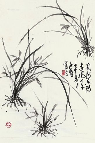 余石苹 兰花香远