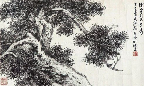 俞子才 不老松