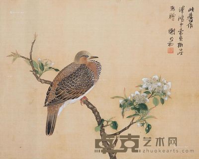 谢稚柳 梨花斑鸠 37×46cm