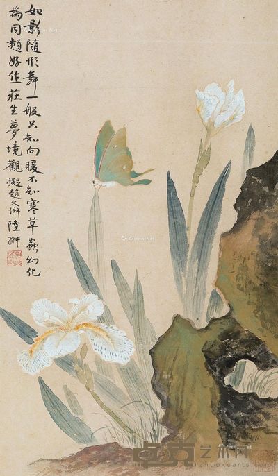 陆抑非 花蝶 50×30cm