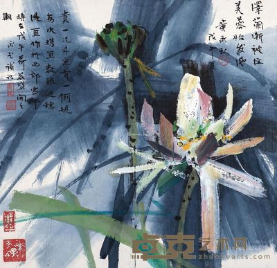 黄永玉 芙蓉 51×53cm