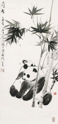 林学夫 熊猫