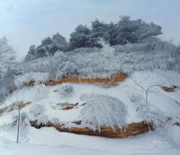 蒋伟华 雪霁