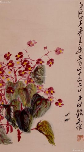齐良迟 花卉