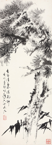 黄达聪  松树