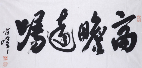肖锋 高瞻远瞩