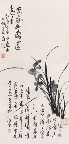 白蕉 兰花