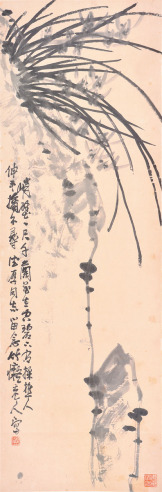 黄叶村 兰花石图