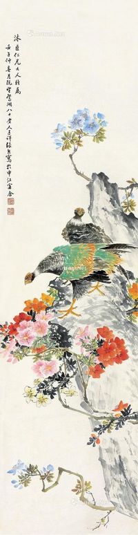 张熊 杜鹃锦鸡