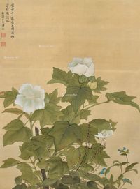 恽冰 花卉