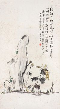 易大厂 菊石图