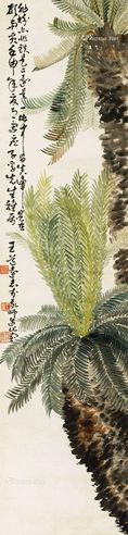 王友石 铁树