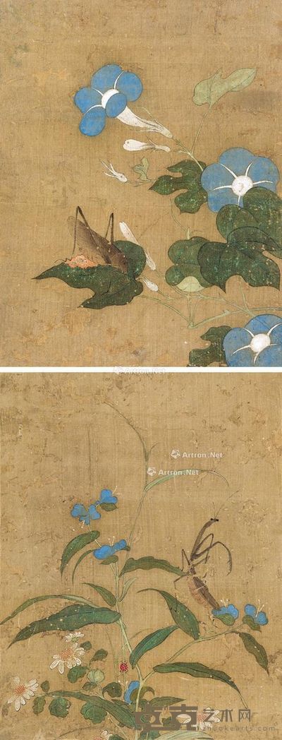 佚名 花卉草虫 24×18cm×2