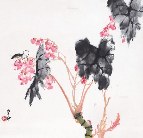 赵少昂 海棠草虫