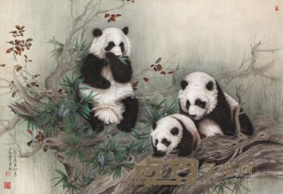王申勇 熊猫 87×127cm