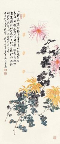 吴树本 菊花