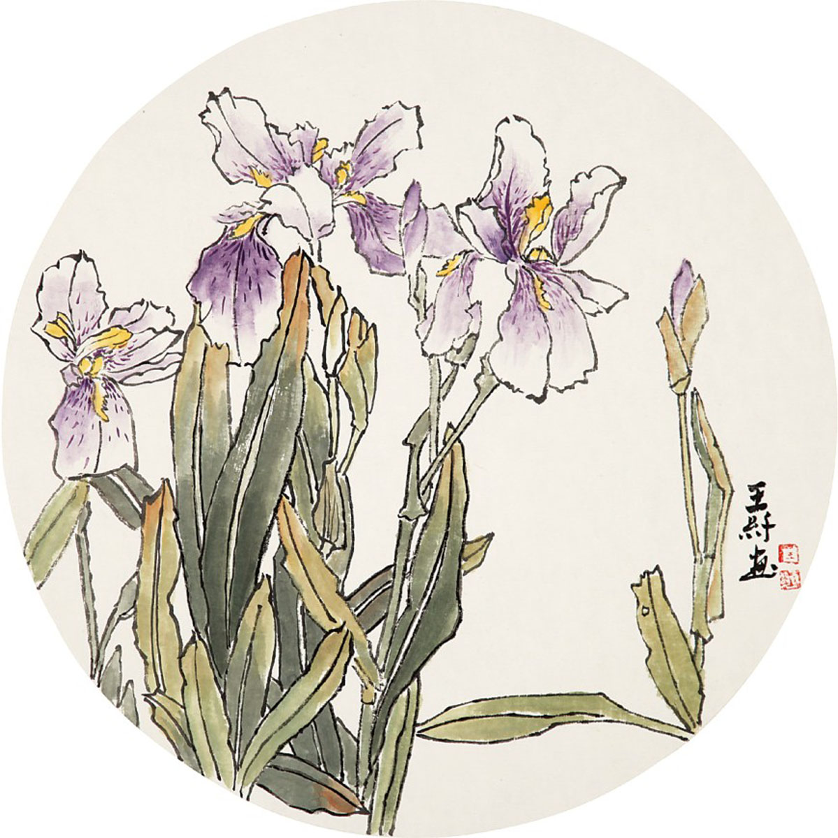 王纤 花卉