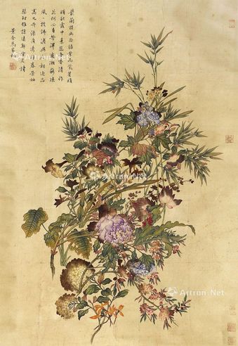 马家桐 花卉