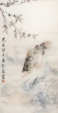 孔小瑜 鳜鱼