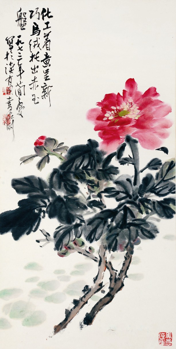 曹简楼 牡丹
