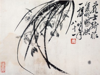萧龙士 兰草