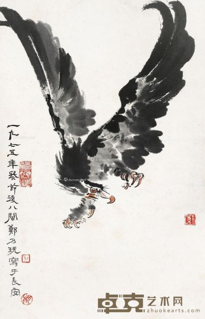 郑乃珖 鹰 43×27.5cm