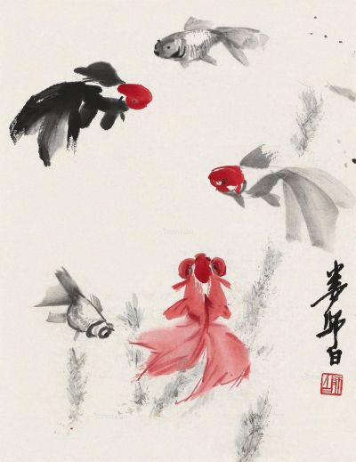 娄师白 金鱼