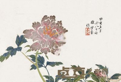 姜妙香 花卉 30×44cm