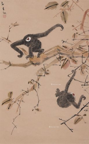 陈文希 枫猿