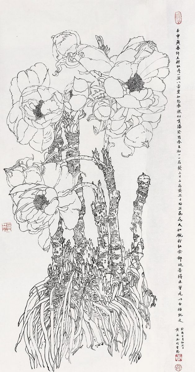 lot:472 黄永玉 白描牡丹