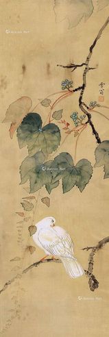 陈之佛 鹦鹉红棉
