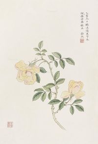 潘静淑 月季花