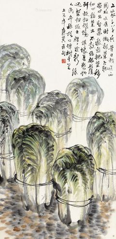 康师尧 城郊菜肥