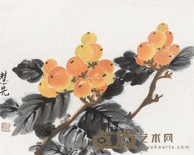 马慧先 枇杷黄金果 33×28cm