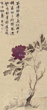 翟继昌 花卉