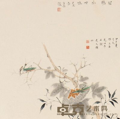 杨立奇 苦藤亦甘味 38×44cm
