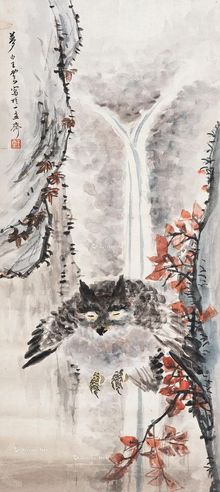 王云 猫