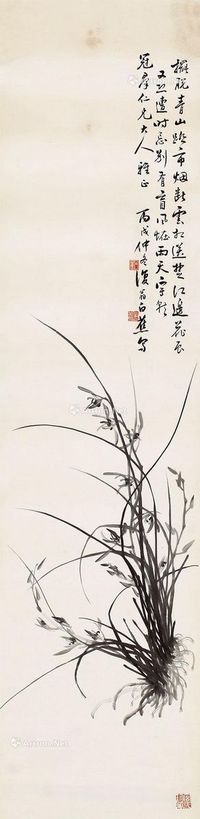 白蕉 兰花