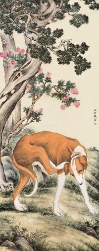 马晋 犬