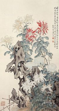 黄山寿 花卉