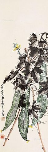 杨秀珍 丝瓜草虫